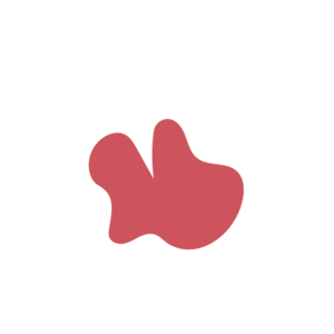 34efd51a-placeholder-1770018852