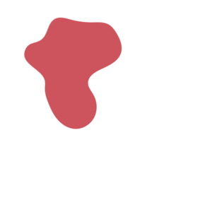 9e58f6d3-placeholder-1770007552