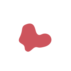 3ce154e9-placeholder-1770005429