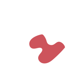 35fb3d89-placeholder-1770010866