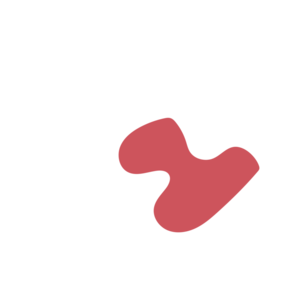 B2cb956d-placeholder-1770023957