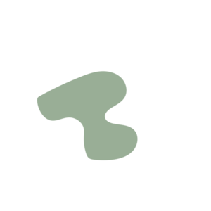 Dbe99818-placeholder-1770009777