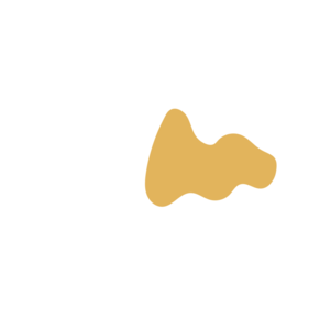 Fe4e2a8a-placeholder-1770022152