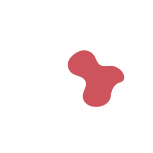 Ba4db771-placeholder-1770021114