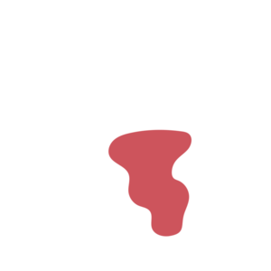 5292910a-placeholder-1770017182