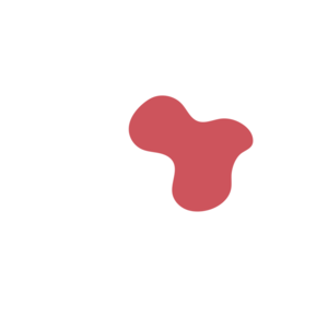 Ec390e44-placeholder-1770056430