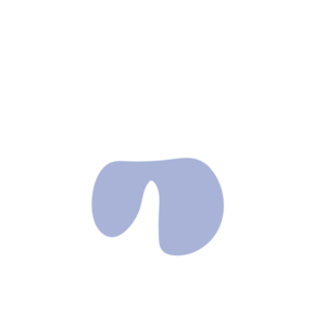 77a83d41-placeholder-1770011023