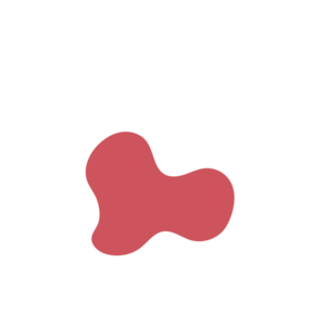 B0eb7262-placeholder-1769024186