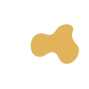 Ed7da782-placeholder-1770024600