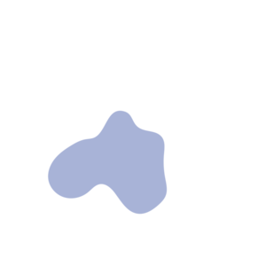 F7f7161c-placeholder-1770018513