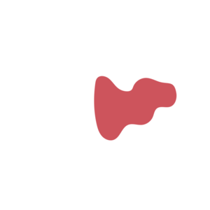 Ce1b4e4c-placeholder-1770053305