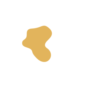 Cdfc98d2-placeholder-1770005875