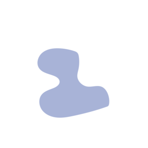 309b981d-placeholder-1770012213