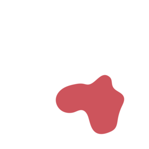 E6c83be4-placeholder-1769994917