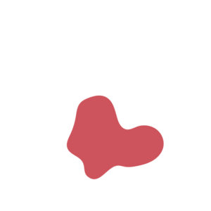 A07c2f3b-placeholder-1770018972