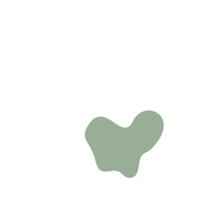 12a8410b-placeholder-1770004948