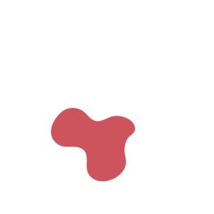 4394879c-placeholder-1770040447