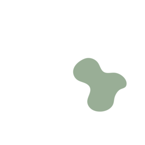 4920bc4b-placeholder-1770018684