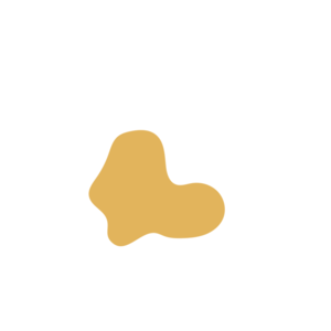 C64bc1aa-placeholder-1769017291