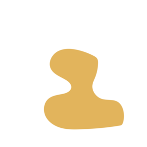 31695cb3-placeholder-1770005748