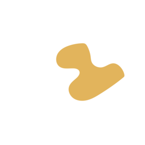 Ee2ba160-placeholder-1770054432