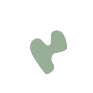 1bd33e6a-placeholder-1770009530