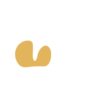 Fd9ff639-placeholder-1770013602