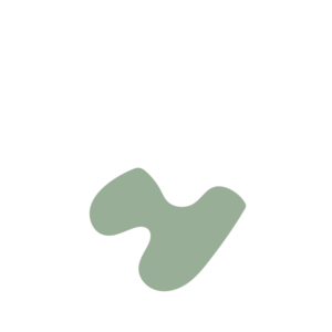 C291d933-placeholder-1770010867