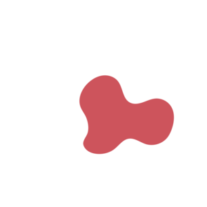 95694af9-placeholder-1770026946