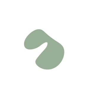 174ef86b-placeholder-1770024301