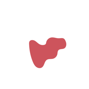 8750590f-placeholder-1770020423