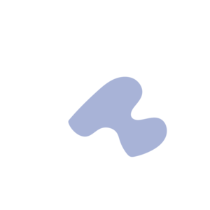 Ce712b55-placeholder-1770061870