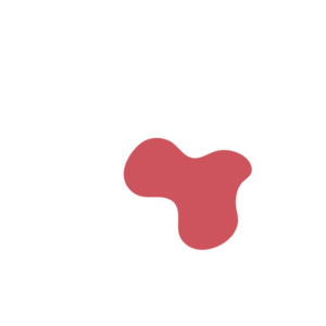 Eba71ecb-placeholder-1770052967