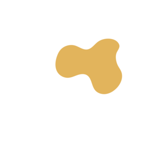 Ee1afbde-placeholder-1770022077