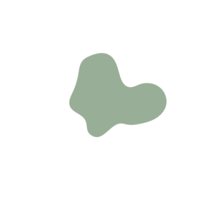 57b3e31d-placeholder-1771824620