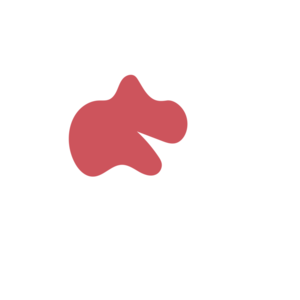 89148838-placeholder-1768566448