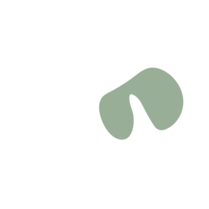 7e1fa8af-placeholder-1770016207