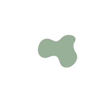 3641a12a-placeholder-1770020205