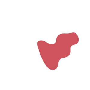 Fbe3e3a5-placeholder-1770026866