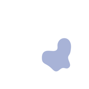 961a9c07-placeholder-1770052007