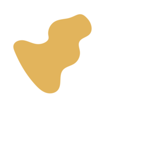 D83999c0-placeholder-1770006479