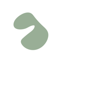 1298377a-placeholder-1768983584