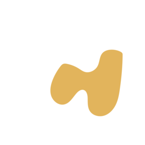 266ebc68-placeholder-1770019750