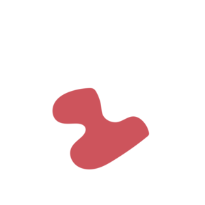 53e9773b-placeholder-1770128032