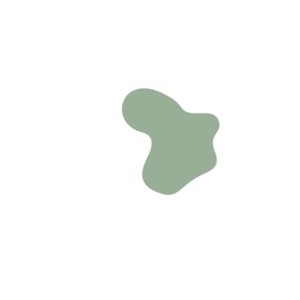 91f347de-placeholder-1770008789