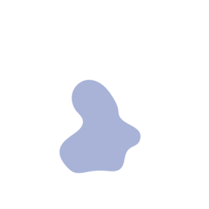 172cb367-placeholder-1770011706