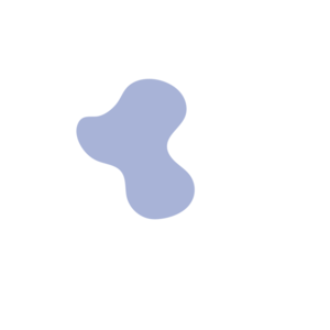 2a8c9a3c-placeholder-1770051386