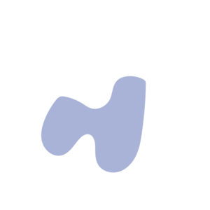 42906948-placeholder-1770041255