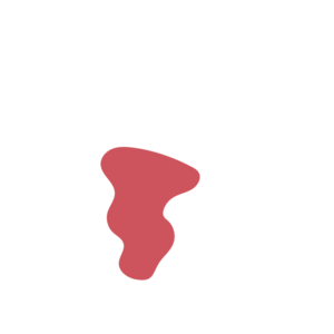 4cf7fbdf-placeholder-1770023925