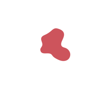 C9d5b895-placeholder-1770013061